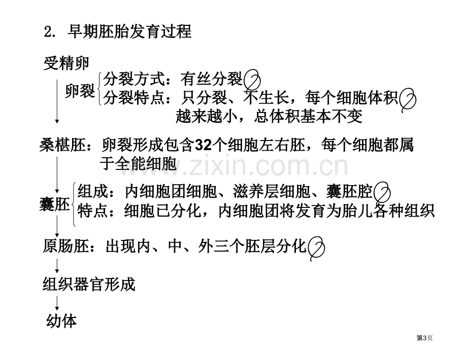 胚胎工程生物技术的安全性和伦理问题及生态工程省公共课一等奖全国赛课获奖课件.pptx_第3页