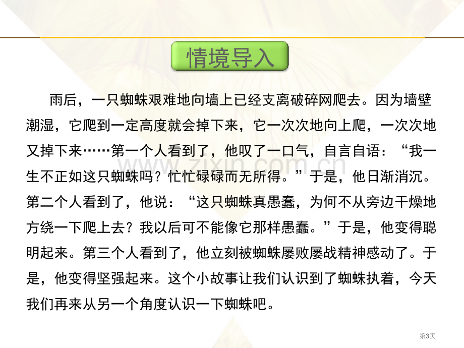 蜘蛛说课稿省公开课一等奖新名师比赛一等奖课件.pptx_第3页