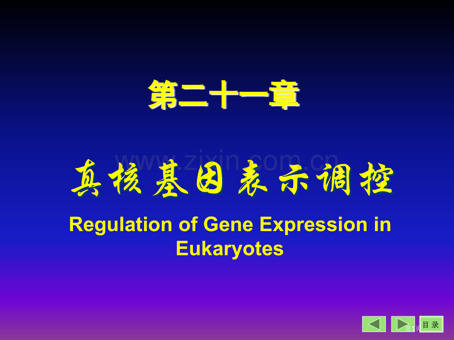 生物化学与分子生物学八课件22市公开课一等奖百校联赛特等奖课件.pptx_第1页