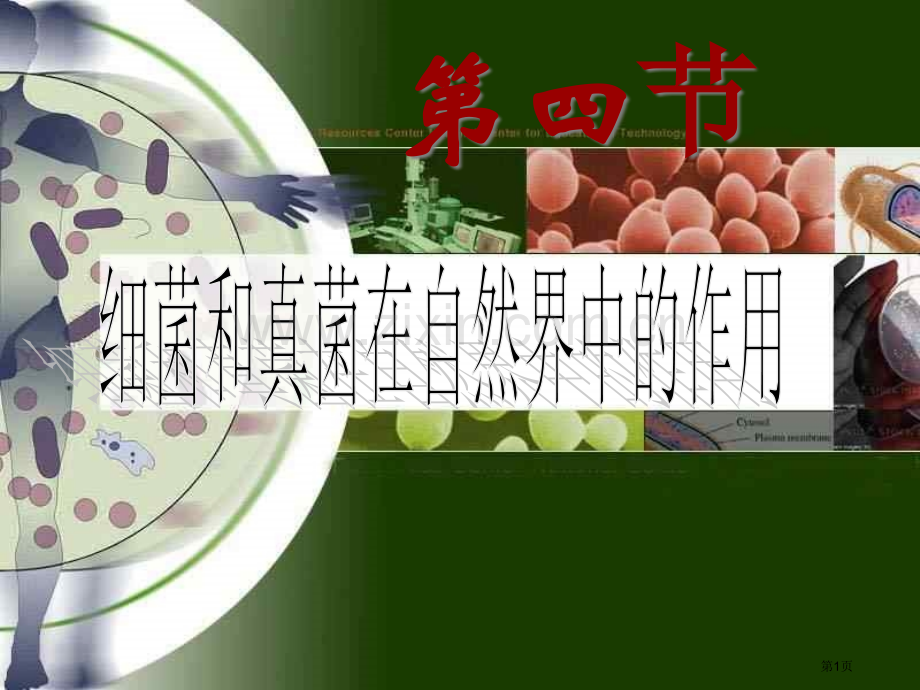 人教版八年级生物上册细菌和真菌在自然界中的作用省公共课一等奖全国赛课获奖课件.pptx_第1页