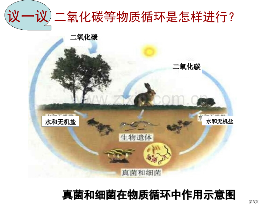 人教版八年级生物上册细菌和真菌在自然界中的作用省公共课一等奖全国赛课获奖课件.pptx_第3页