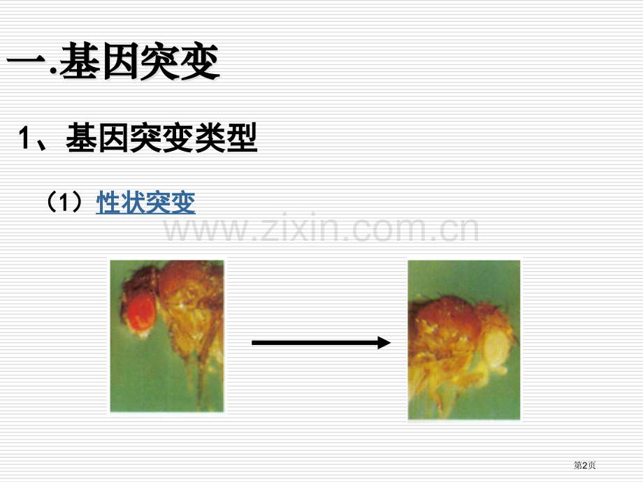 生物变异的来源市公开课一等奖百校联赛特等奖课件.pptx_第2页