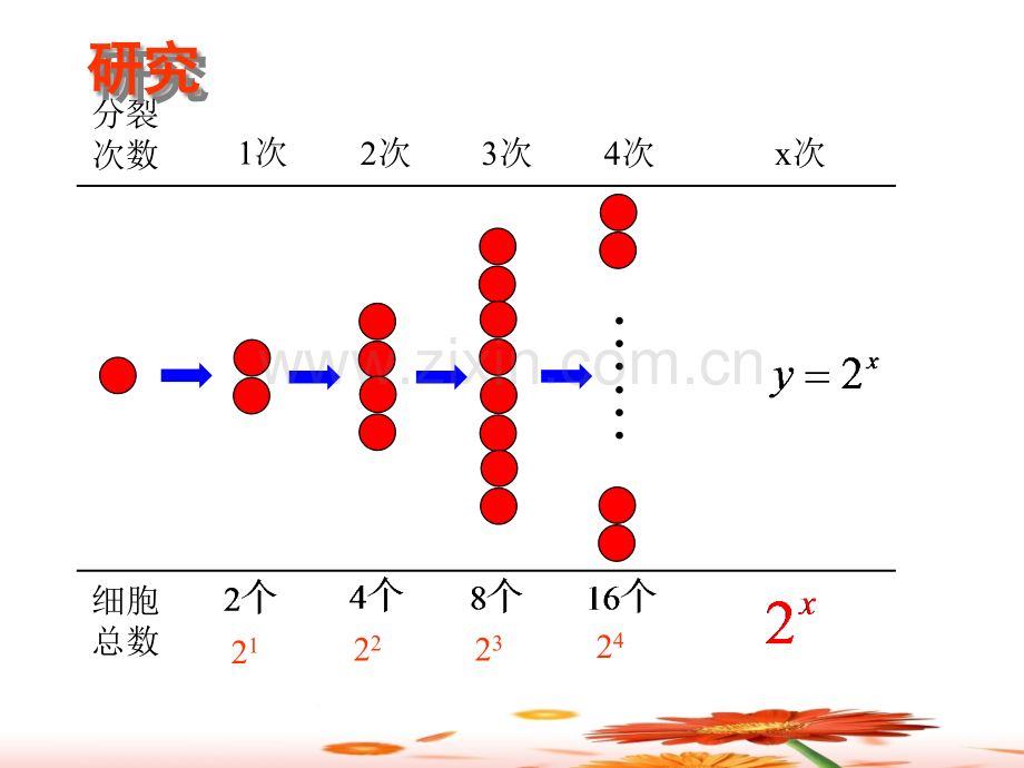 指数函数的图像与性质省公共课一等奖全国赛课获奖课件.pptx_第3页