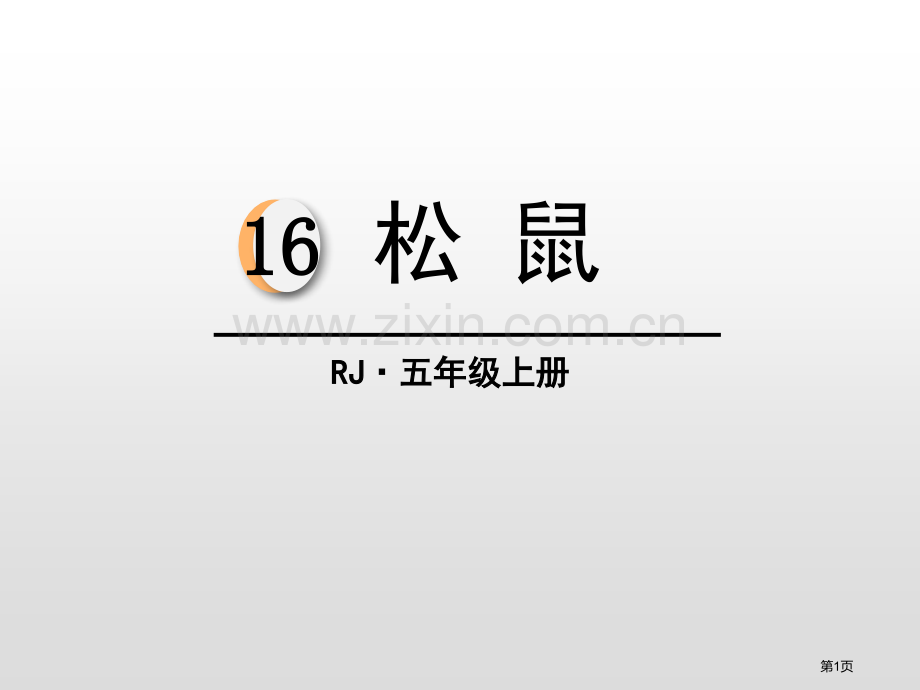 松鼠ppt省公开课一等奖新名师比赛一等奖课件.pptx_第1页