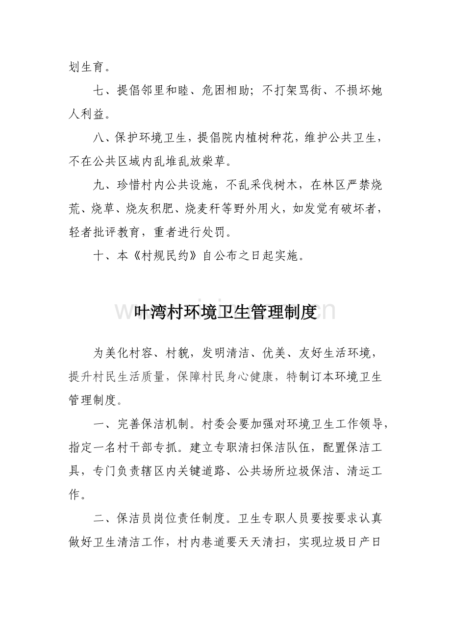 村规民约村环境卫生管理核心制度.doc_第2页