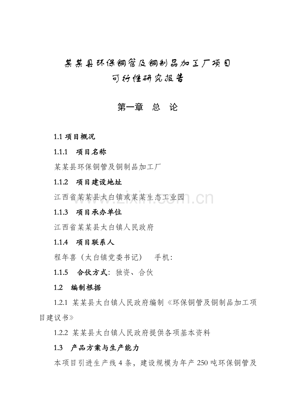 环保铜管及铜制品加工厂综合项目可行性研究应用报告.doc_第1页