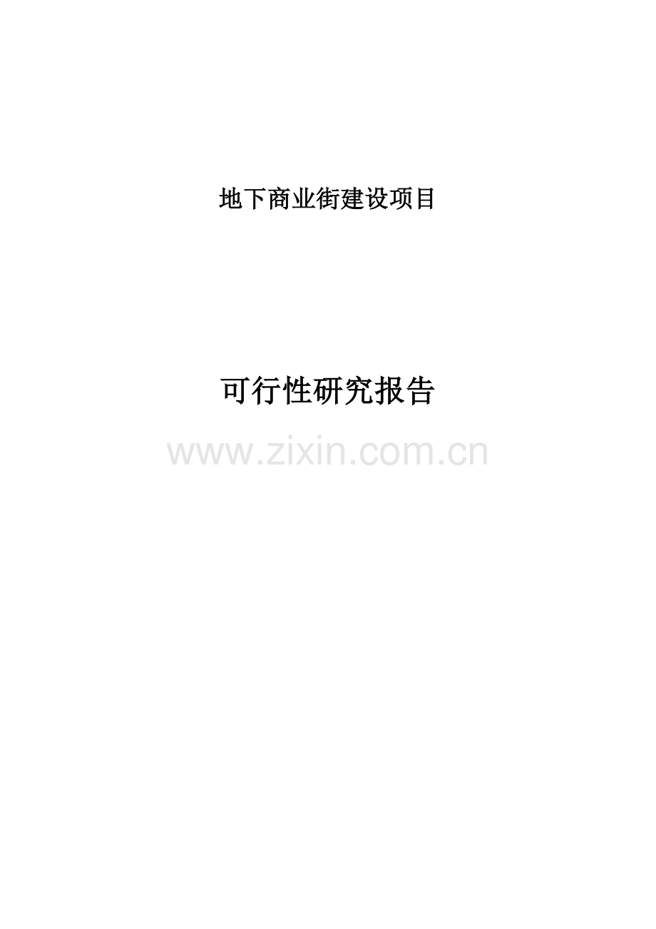 地下商业街建设项目可行性研究报告.docx_第1页