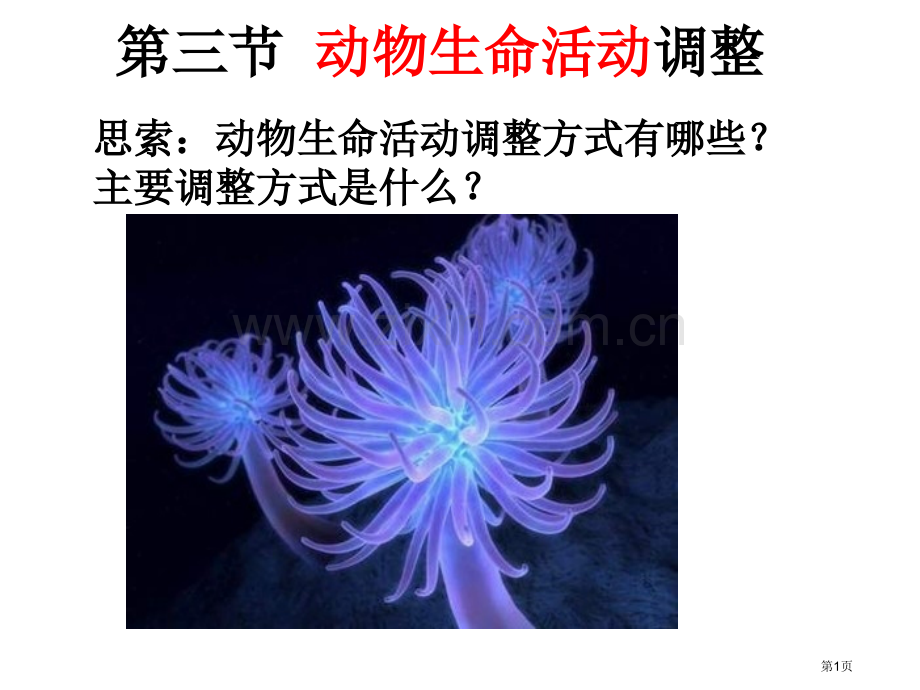 高二生物动物生命活动的调节省公共课一等奖全国赛课获奖课件.pptx_第1页