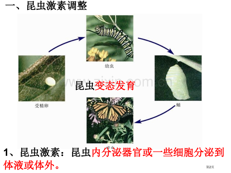 高二生物动物生命活动的调节省公共课一等奖全国赛课获奖课件.pptx_第2页