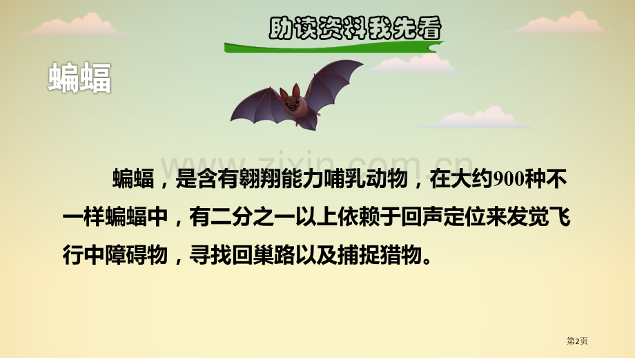 蝙蝠和雷达讲义省公开课一等奖新名师比赛一等奖课件.pptx_第2页