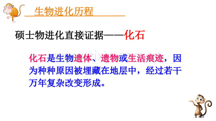 生物进化的历程教学课件省公开课一等奖新名师比赛一等奖课件.pptx_第3页