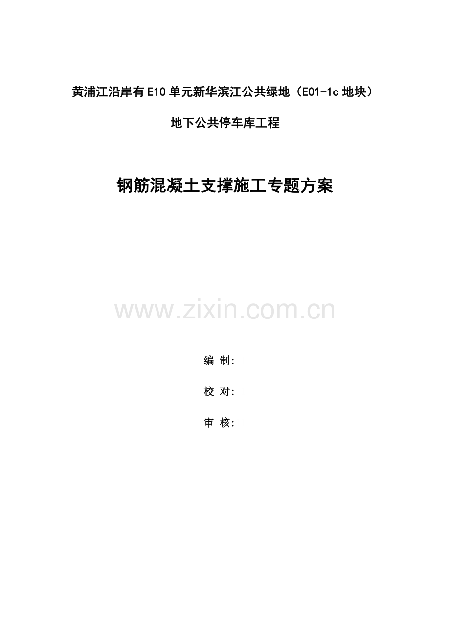 支撑综合项目施工专项方案.docx_第1页