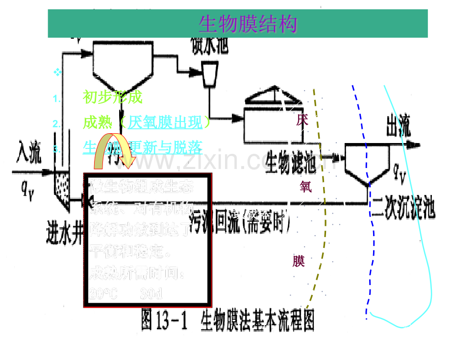 生物膜专题培训市公开课一等奖百校联赛特等奖课件.pptx_第2页