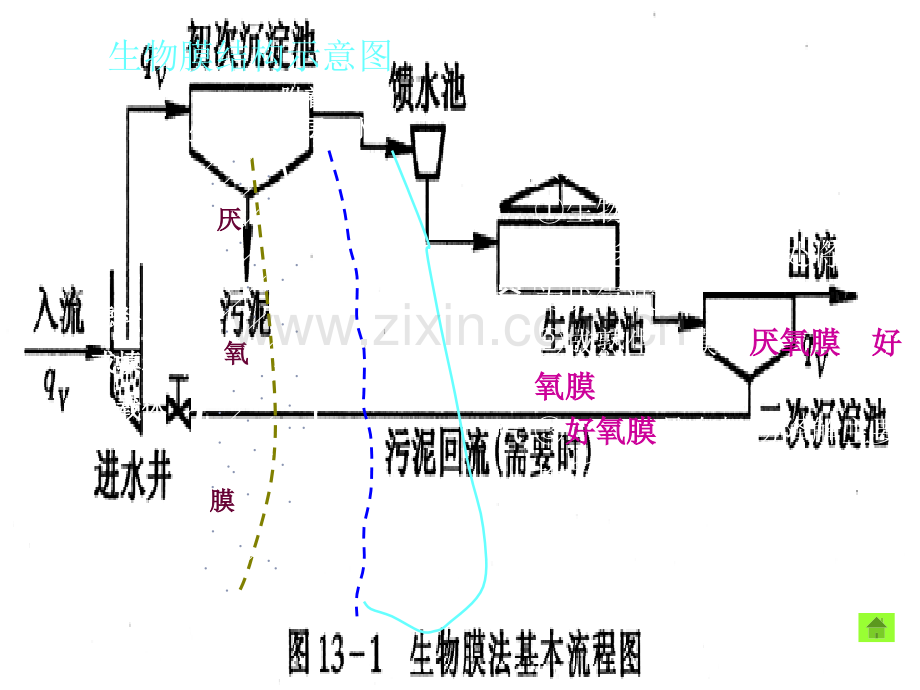 生物膜专题培训市公开课一等奖百校联赛特等奖课件.pptx_第3页