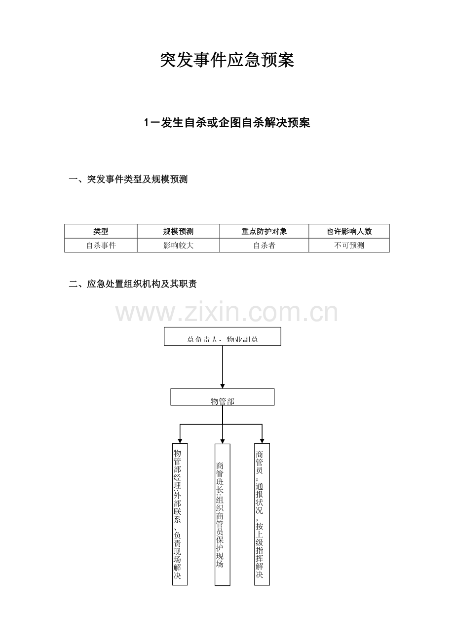 突发事件应急专项预案范文.doc_第1页