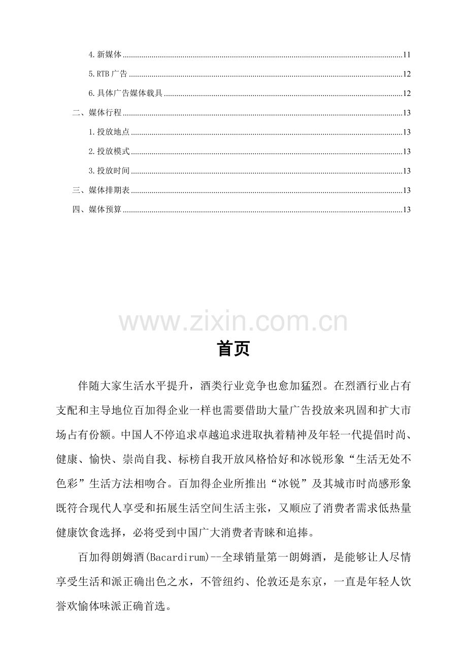 百加得冰锐广告媒体投放专项策划案.doc_第3页