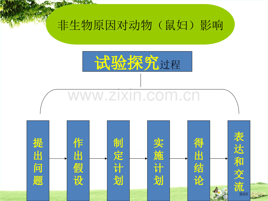 探究非生物因素对某种动物的影响省公共课一等奖全国赛课获奖课件.pptx_第3页