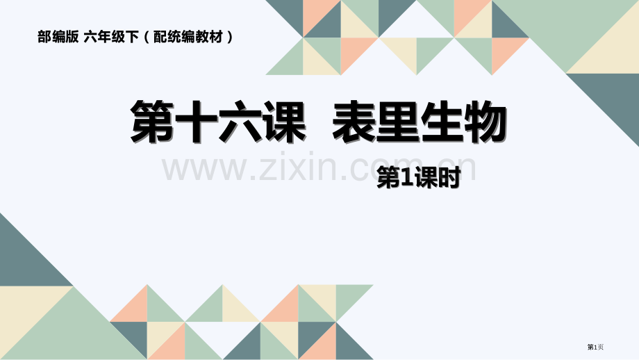 表里的生物ppt省公开课一等奖新名师比赛一等奖课件.pptx_第1页