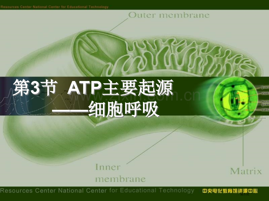 生物必修一(00002)(00001)市公开课一等奖百校联赛特等奖课件.pptx_第1页