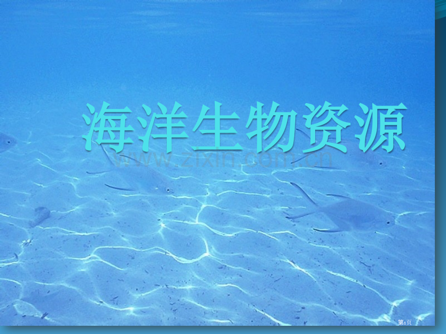 海洋生物资源省公共课一等奖全国赛课获奖课件.pptx_第1页