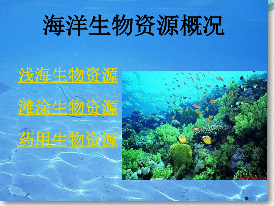 海洋生物资源省公共课一等奖全国赛课获奖课件.pptx_第2页