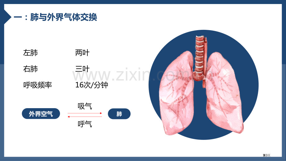 发生在肺内的气体交换教学课件省公开课一等奖新名师比赛一等奖课件.pptx_第3页