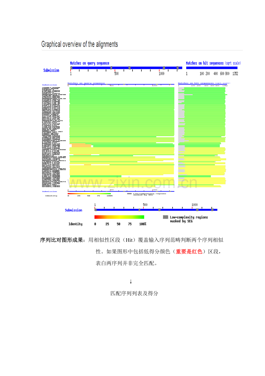 蛋白质结构与功能的生物信息学研究应用.doc_第2页