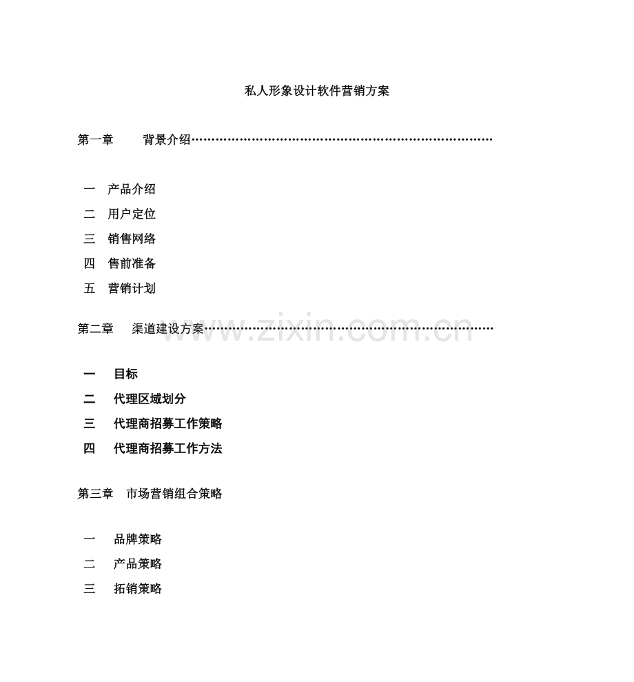 私人形象设计软件营销方案样本.doc_第1页