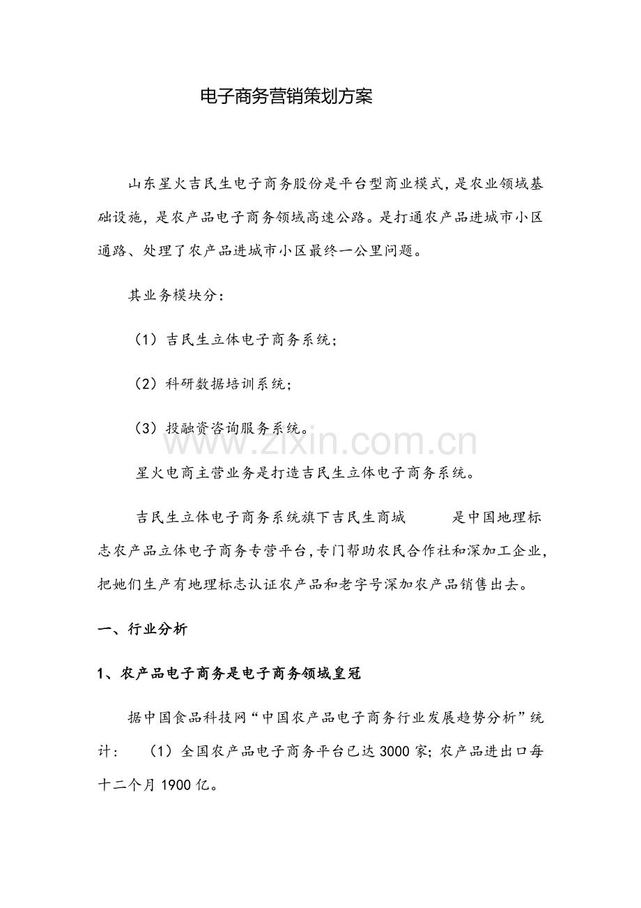 电子商务营销专项策划专业方案.docx_第1页