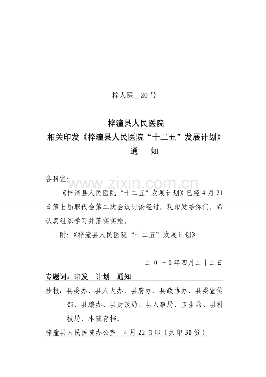 梓潼县人民医院五年发展综合规划.doc_第1页