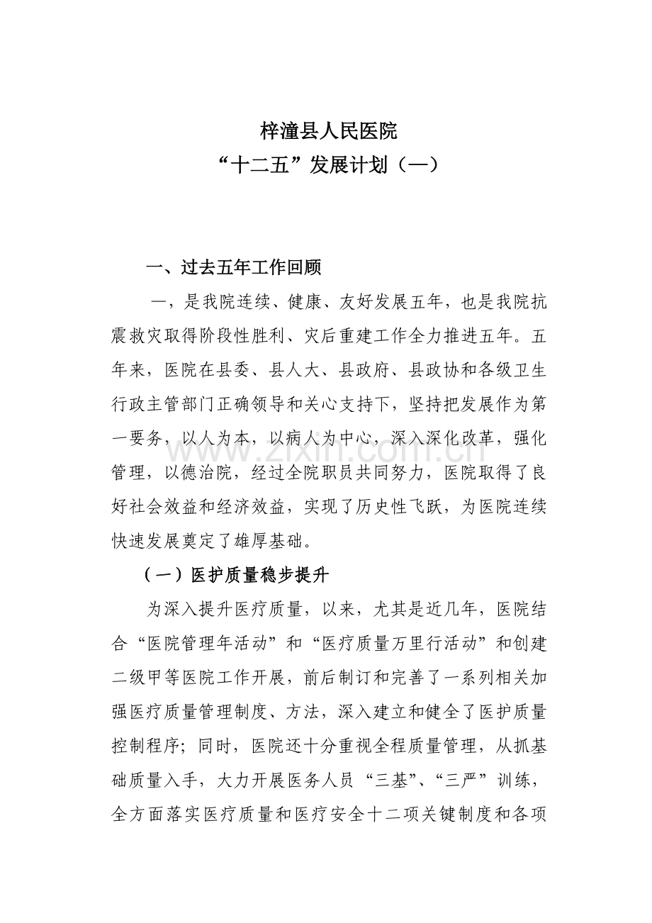 梓潼县人民医院五年发展综合规划.doc_第2页