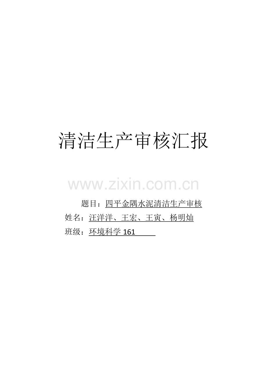 清洁生产审核标准报告.docx_第1页