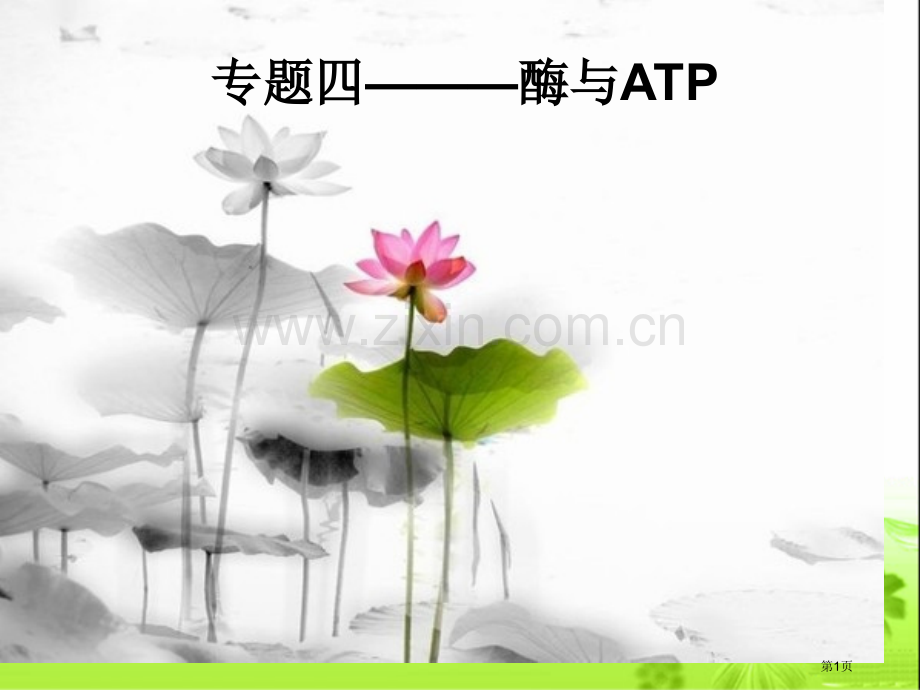 生物必修酶和ATP轮复习省公共课一等奖全国赛课获奖课件.pptx_第1页