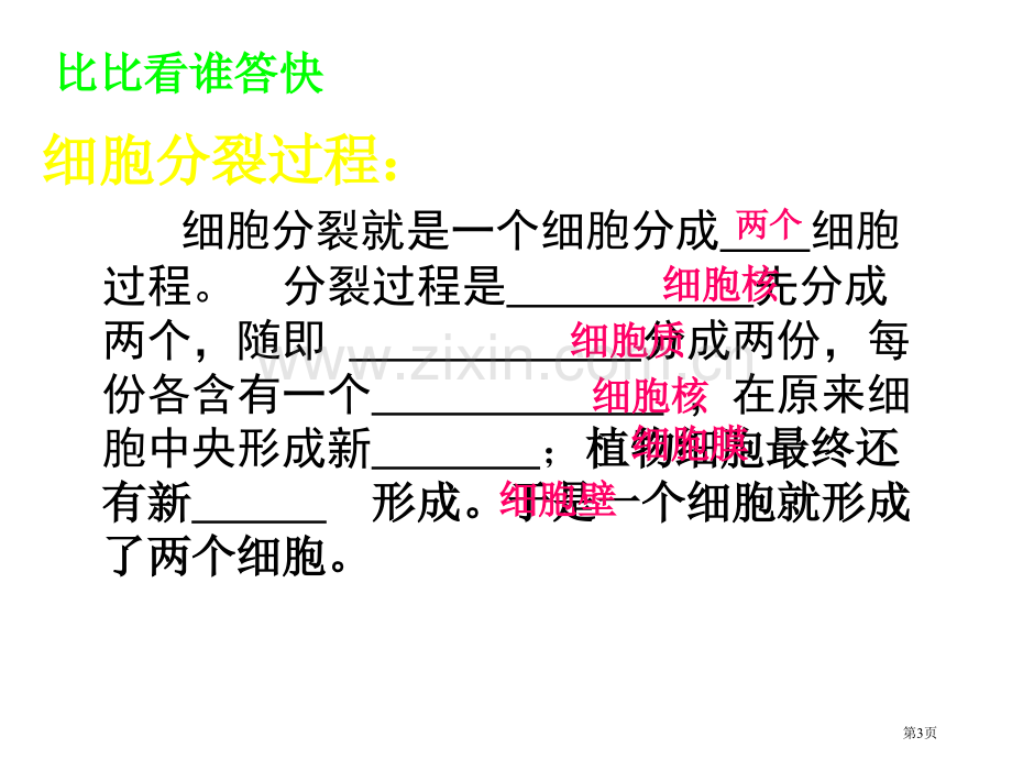 细胞分化形成组织北师大版省公共课一等奖全国赛课获奖课件.pptx_第3页