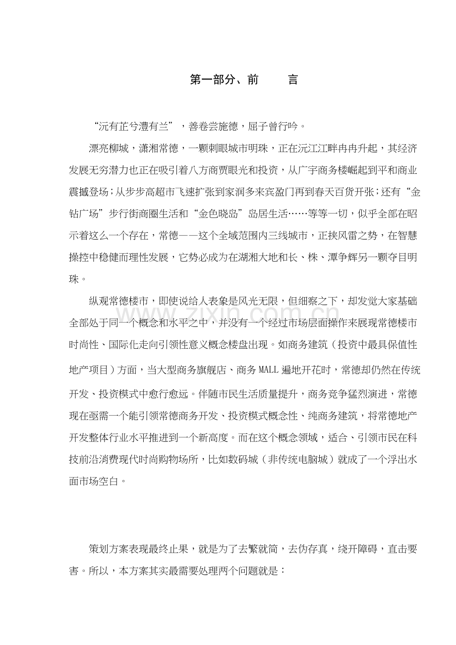 数码城全程营销策划方案模板样本.doc_第2页