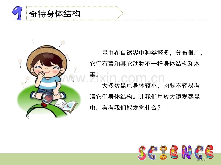 放大镜下的昆虫世界微小世界省公开课一等奖新名师比赛一等奖课件.pptx_第2页