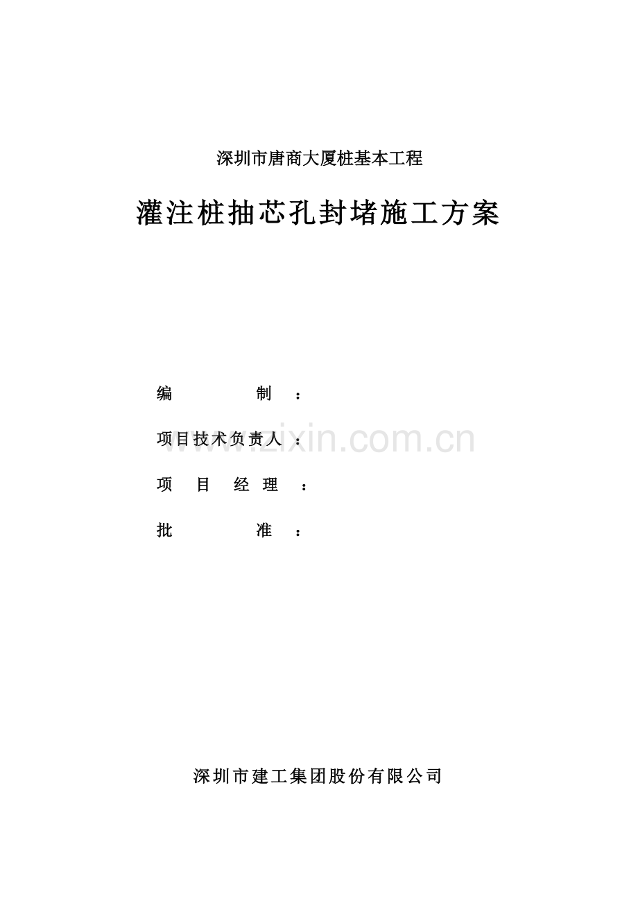 灌注桩抽芯孔封堵综合项目施工专项方案.doc_第1页