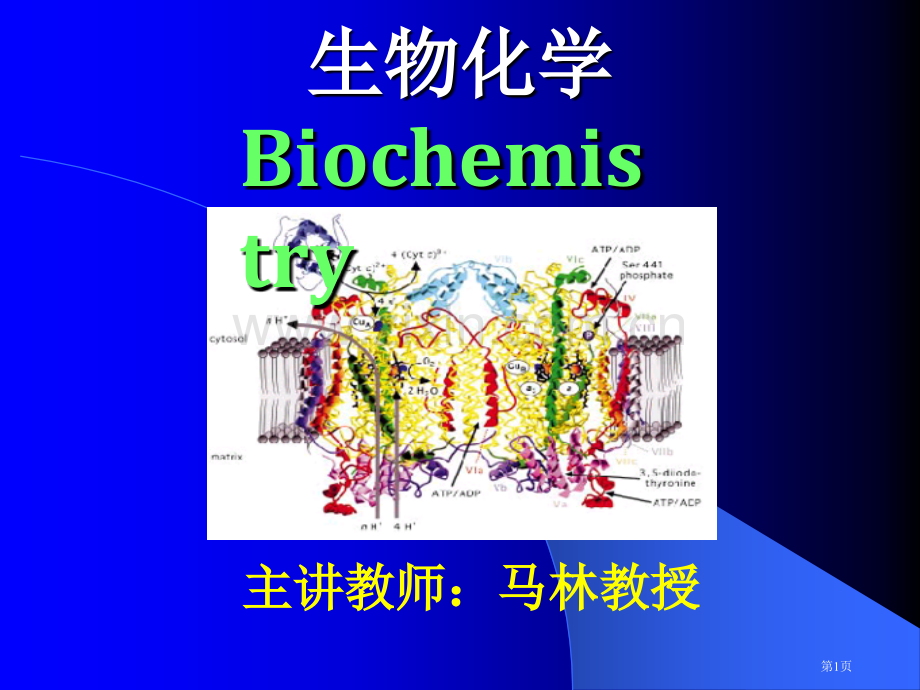 生物化学主讲教师马林教授省公共课一等奖全国赛课获奖课件.pptx_第1页