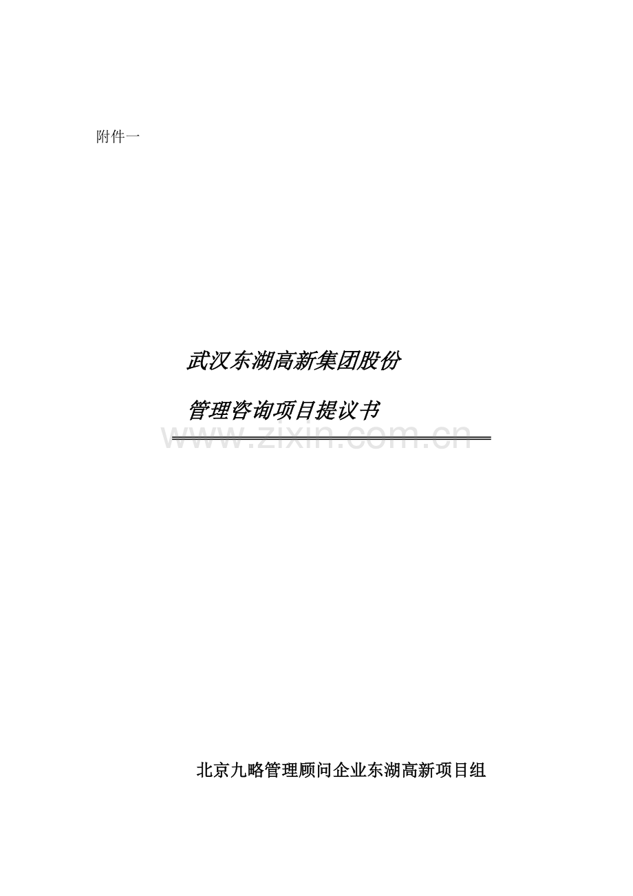 武汉东湖高新集团股份有限公司管理咨询项目建议书模板.doc_第1页