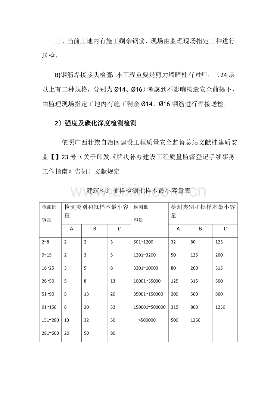 检测专项方案专业资料.doc_第3页