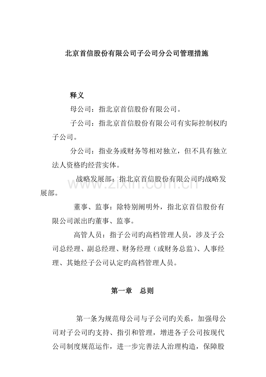 公司的分公司管理新版制度.docx_第1页