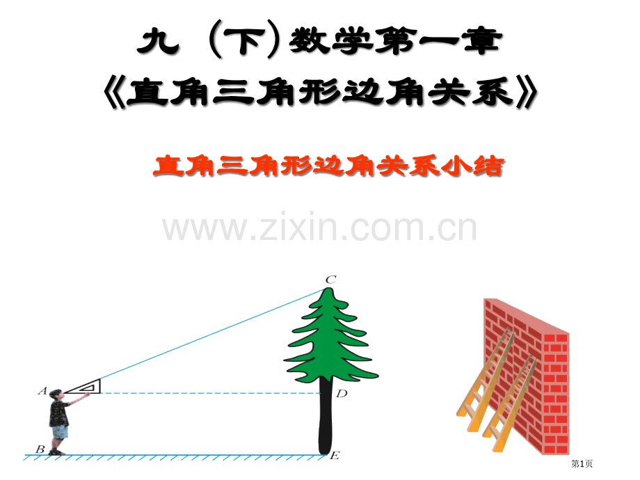 同步九年级数学下册北师大版直角三角形的边角关系复习省公共课一等奖全国赛课获奖课件.pptx_第1页