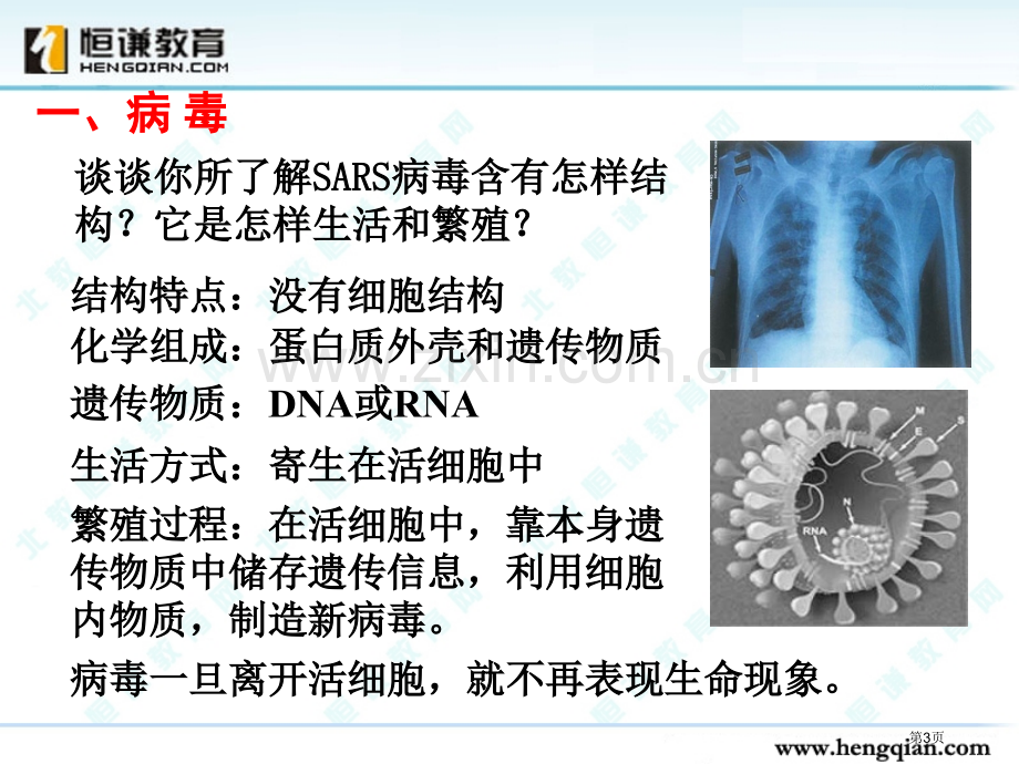 生物必修一全套课件一省公共课一等奖全国赛课获奖课件.pptx_第3页