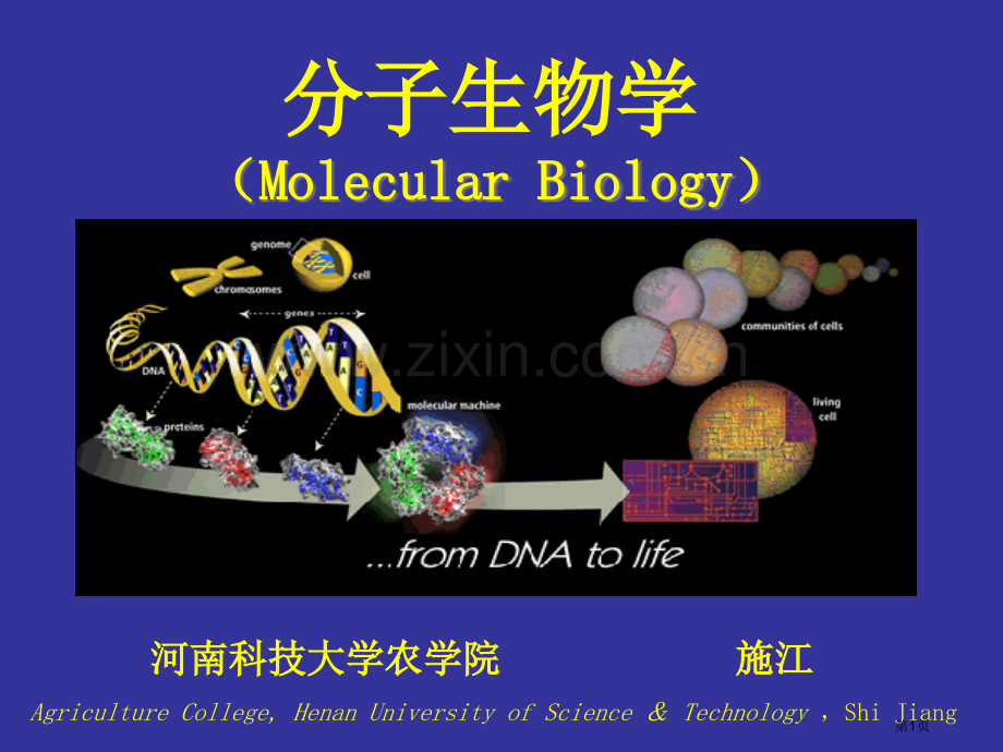 概述分子生物学市公开课一等奖百校联赛获奖课件.pptx_第1页