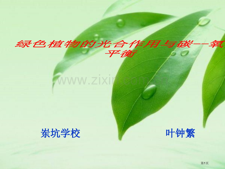 绿色植物的光合作用专题复习市公开课一等奖百校联赛获奖课件.pptx_第1页