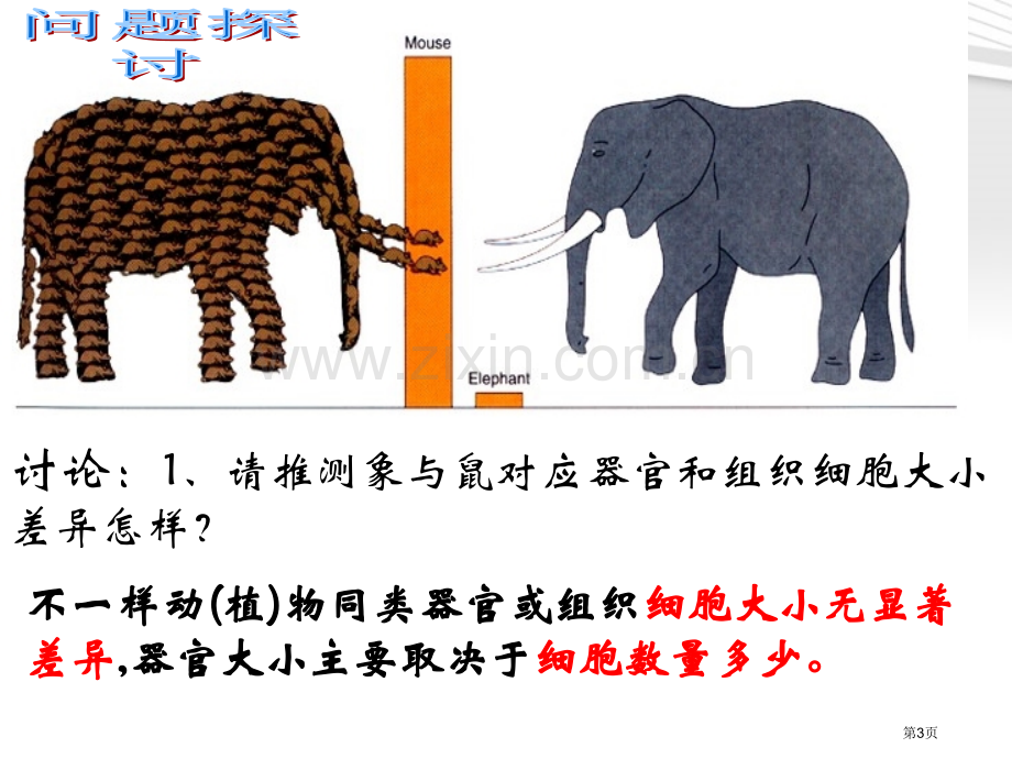 高中生物必修一细胞的增殖省公共课一等奖全国赛课获奖课件.pptx_第3页