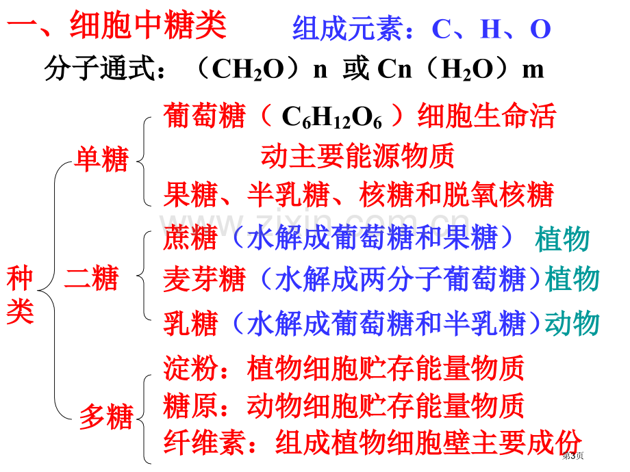 高二生物细胞中的糖类和脂质省公共课一等奖全国赛课获奖课件.pptx_第3页