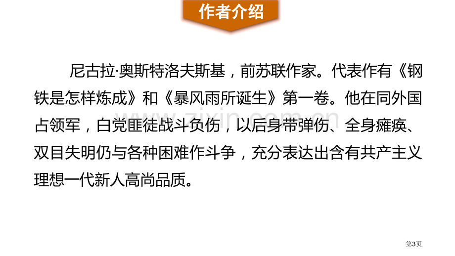 钢铁是怎样炼成的摘抄和做笔记省公开课一等奖新名师比赛一等奖课件.pptx_第3页