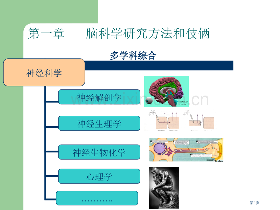 脑科学研究的方法市公开课一等奖百校联赛获奖课件.pptx_第1页