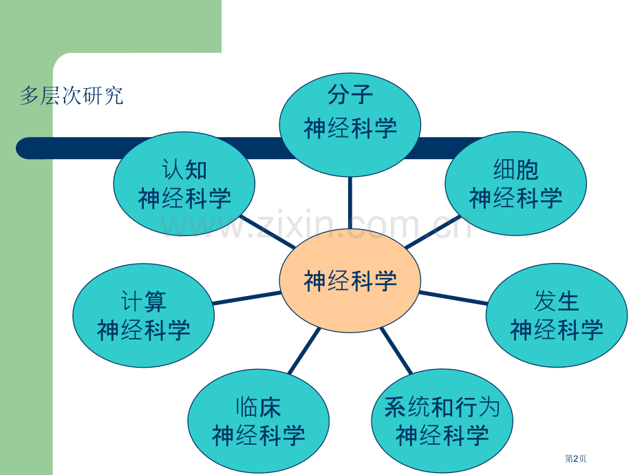 脑科学研究的方法市公开课一等奖百校联赛获奖课件.pptx_第2页